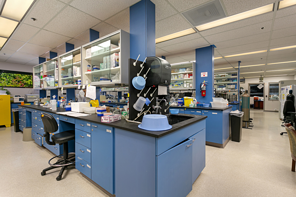 Wet lab with island workstations